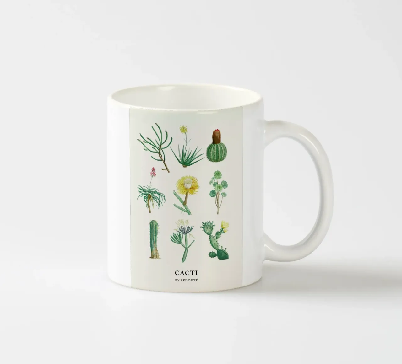 Cacti by Redouté tazza in ceramica da Flora & Fauna