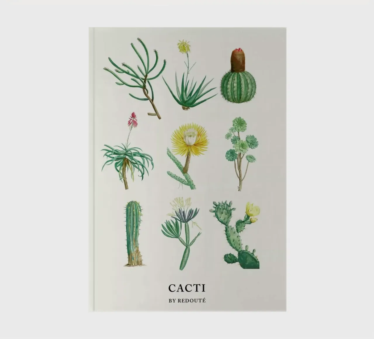 Cacti by Redouté diario da Flora & Fauna