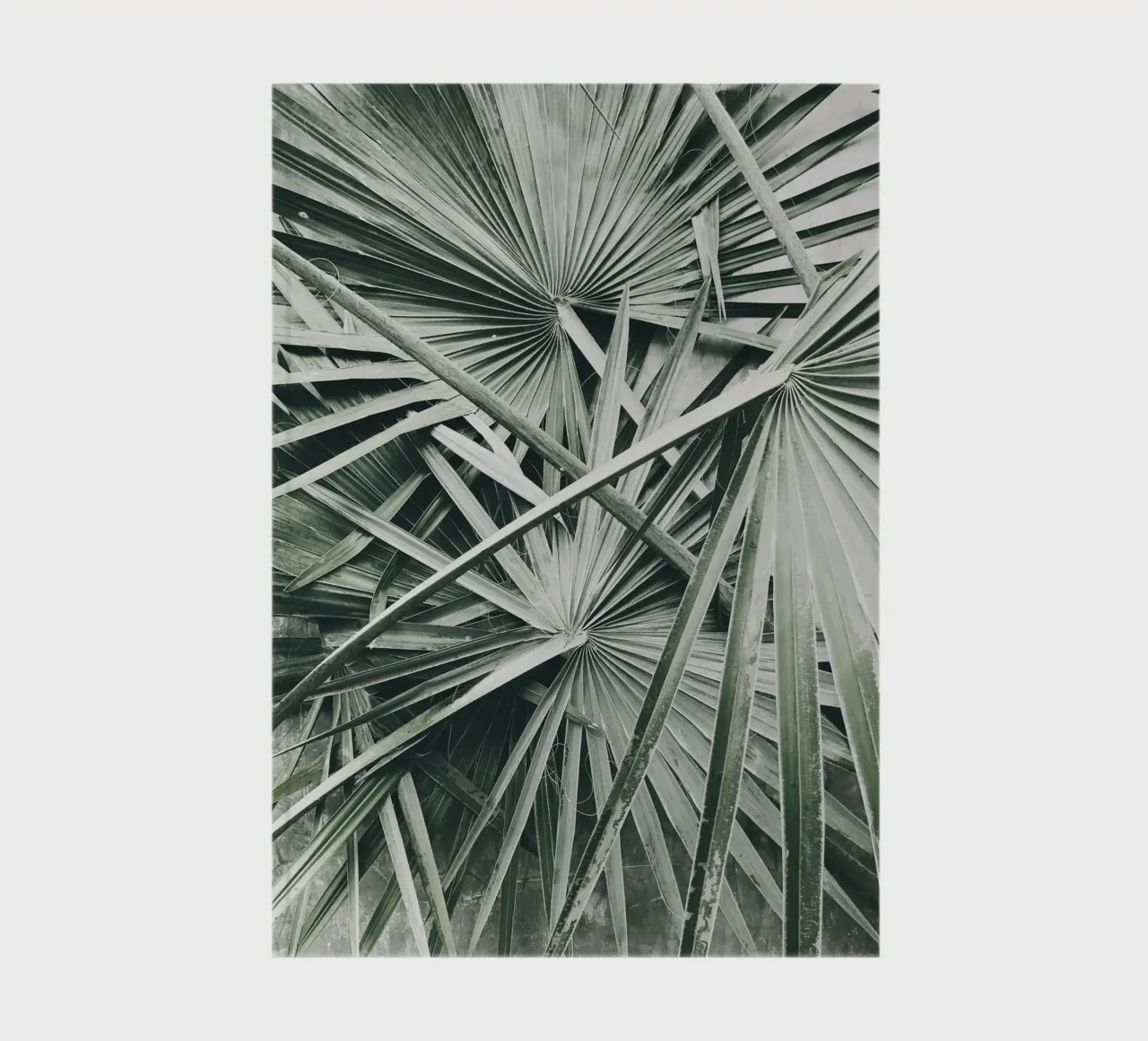 Soft Nature notebook by PhotoVibe Decor
