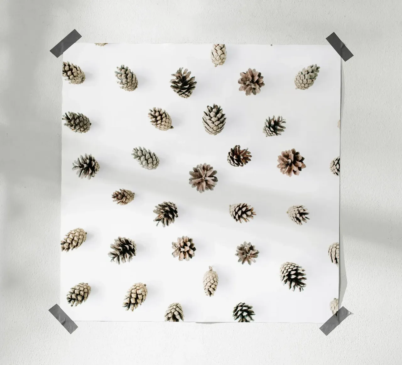 Soft Nature Hahnemühle von PhotoVibe Decor