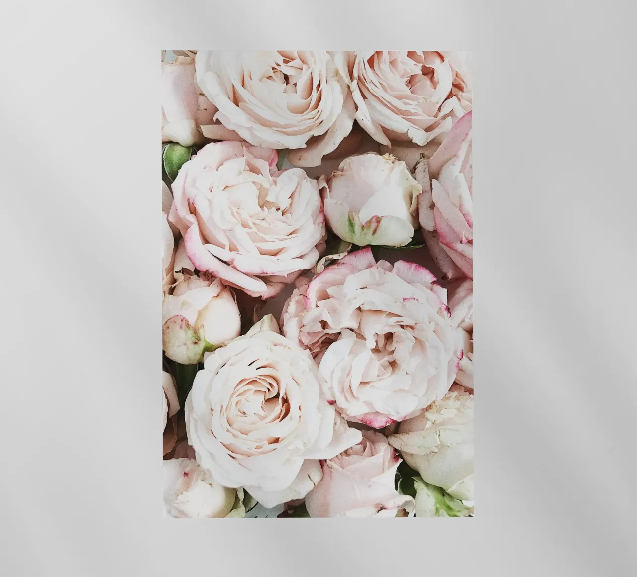 Natura morbida pellicola backlit da PhotoVibe Decor