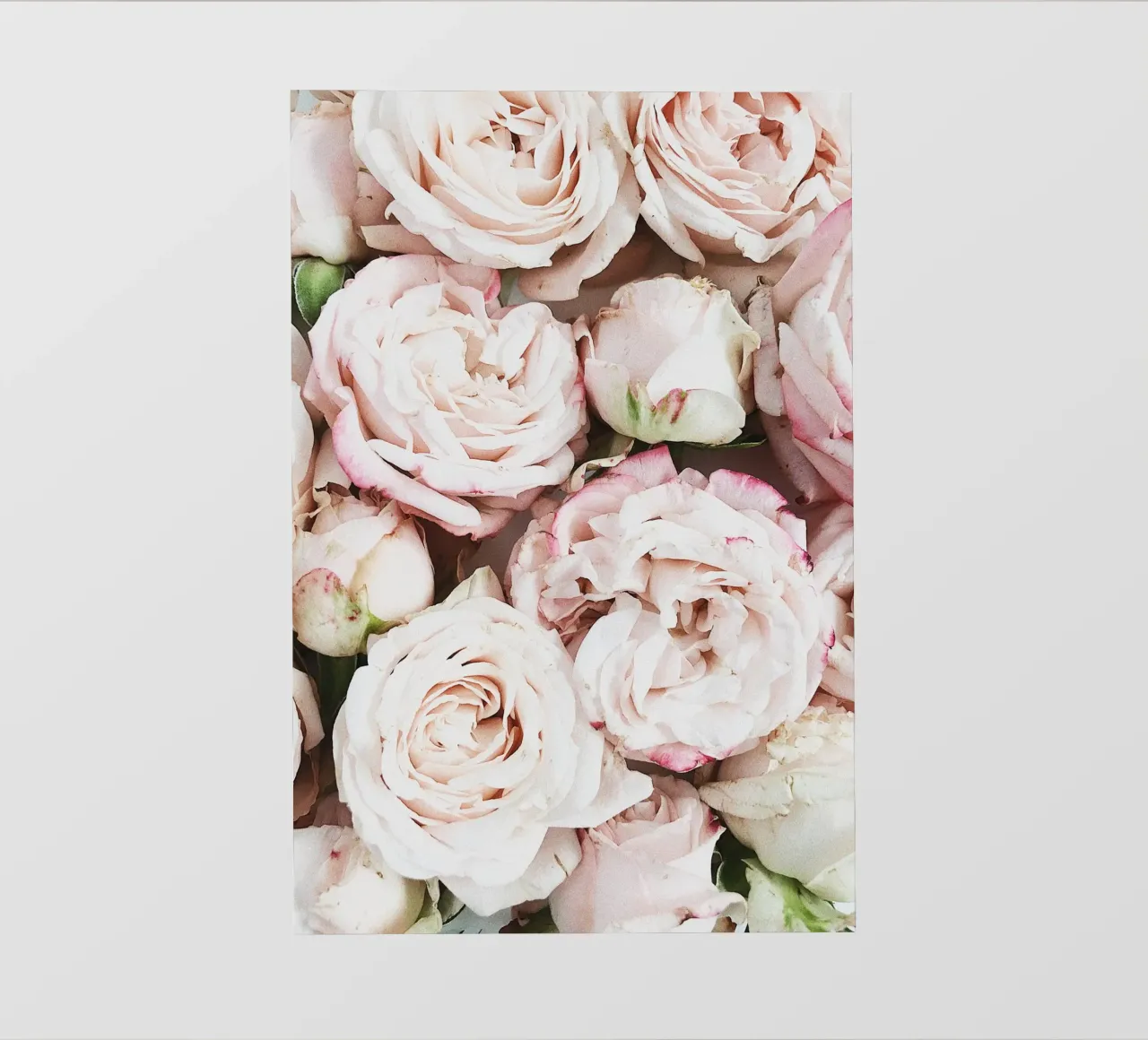Soft Nature photo wallpaper by PhotoVibe Decor
