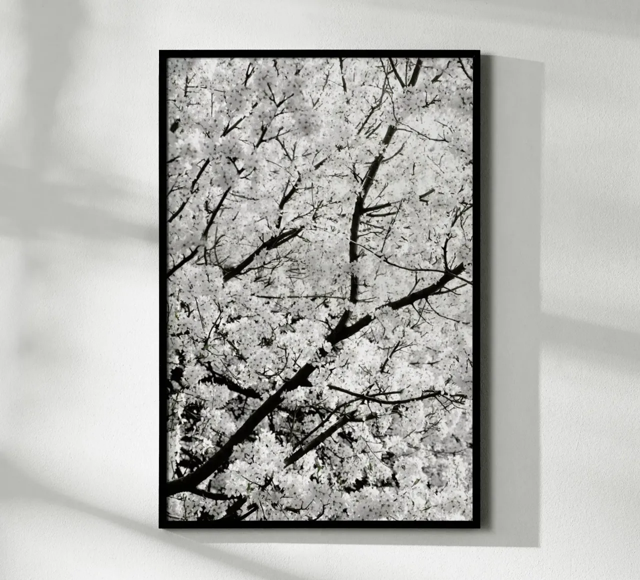 White Cherry Flower Clouds poster da Studio Nahili