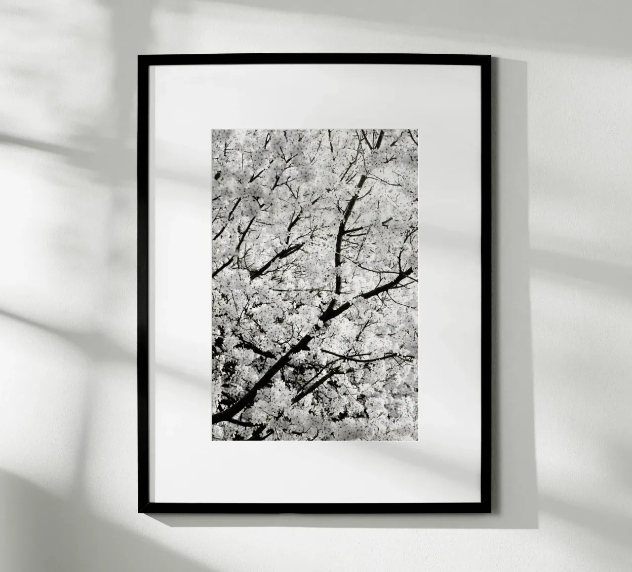 White Cherry Flower Clouds poster da Studio Nahili