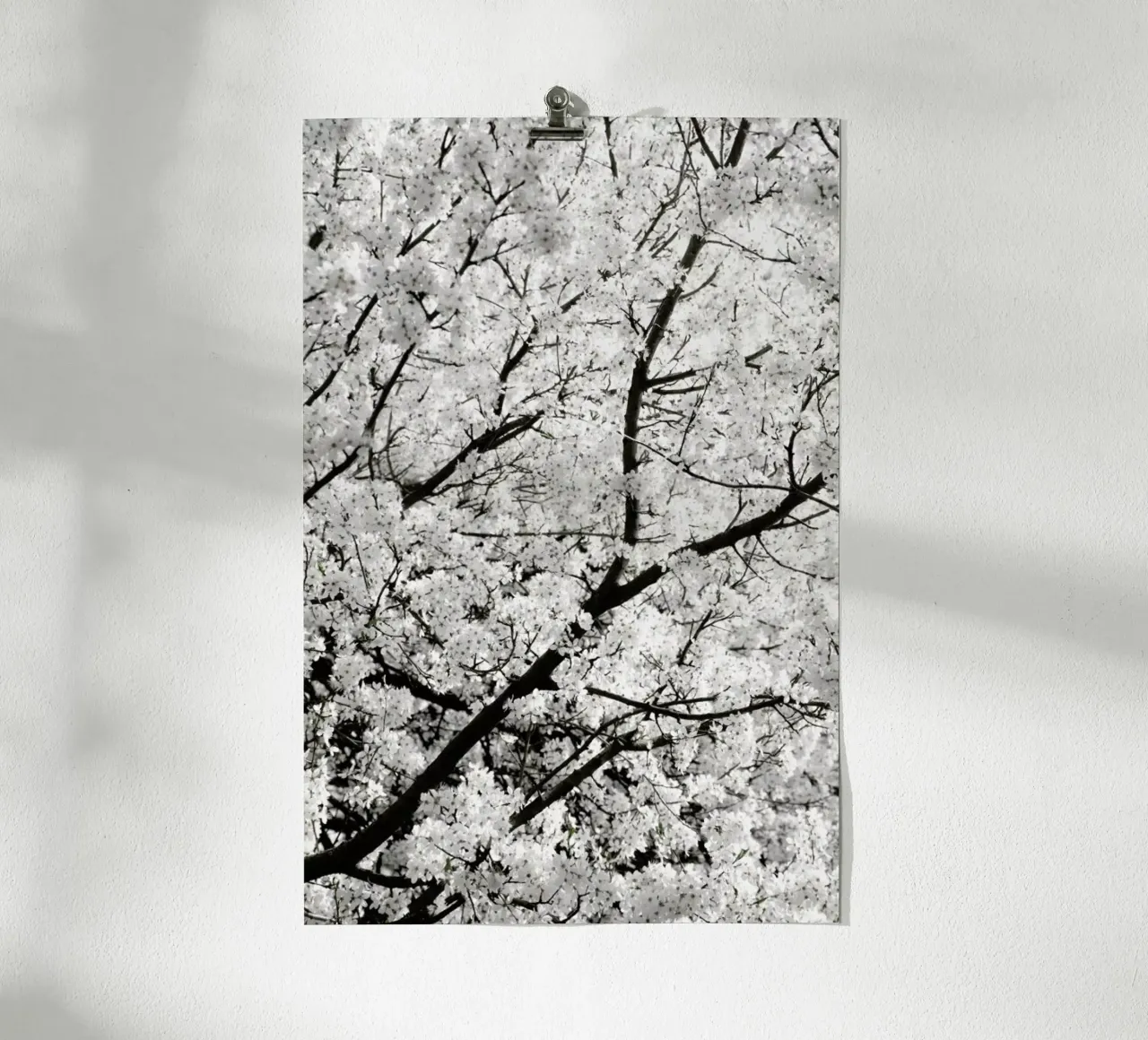 White Cherry Flower Clouds poster da Studio Nahili