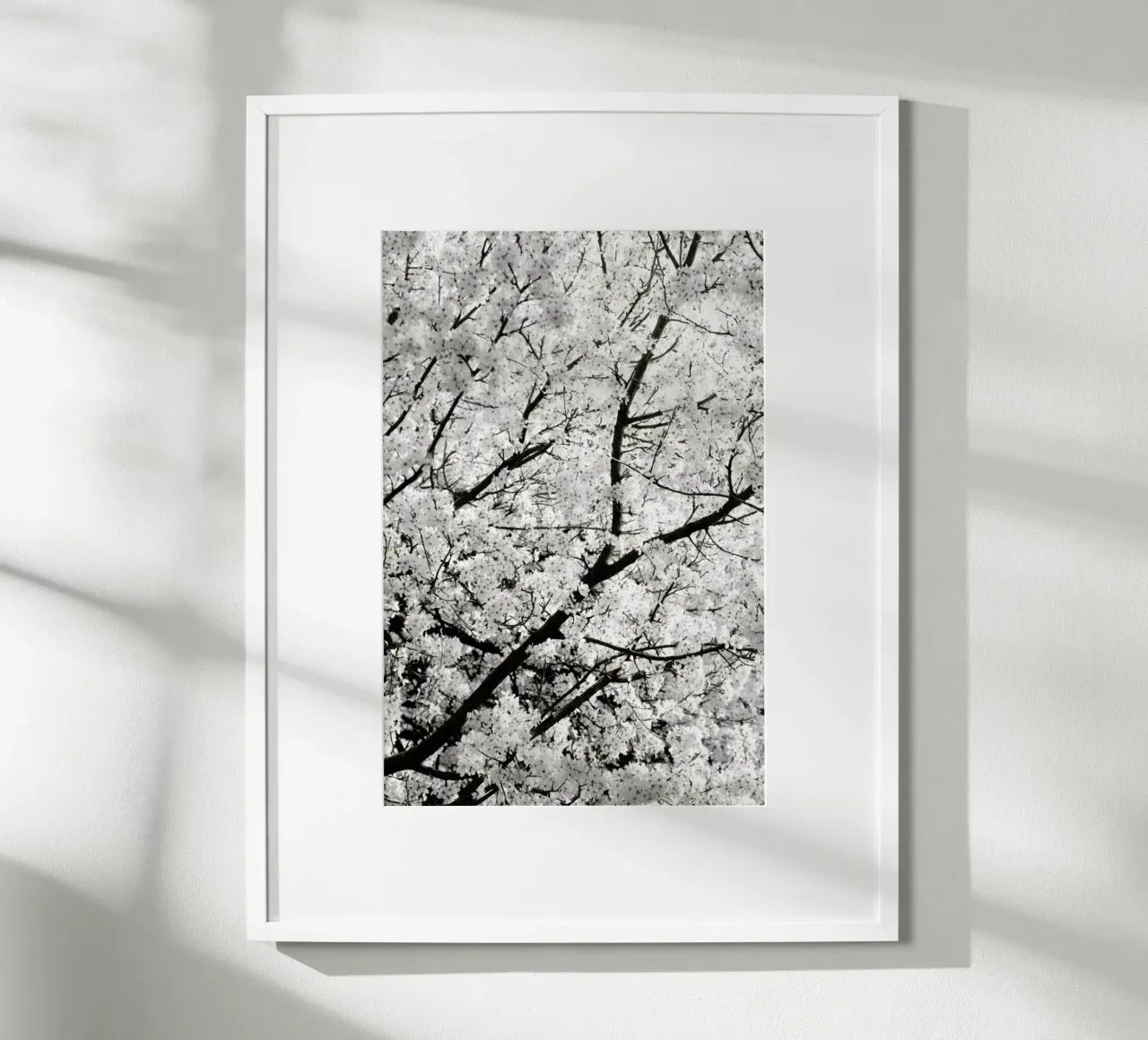 White Cherry Flower Clouds poster da Studio Nahili
