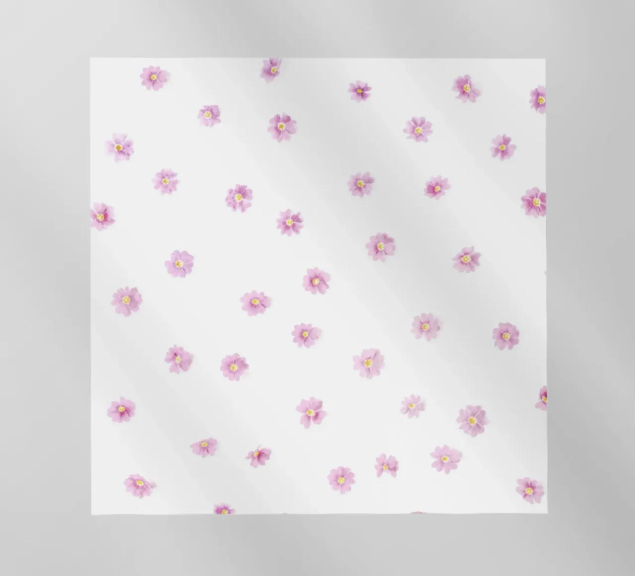 Blush pellicola backlit da PhotoVibe Decor