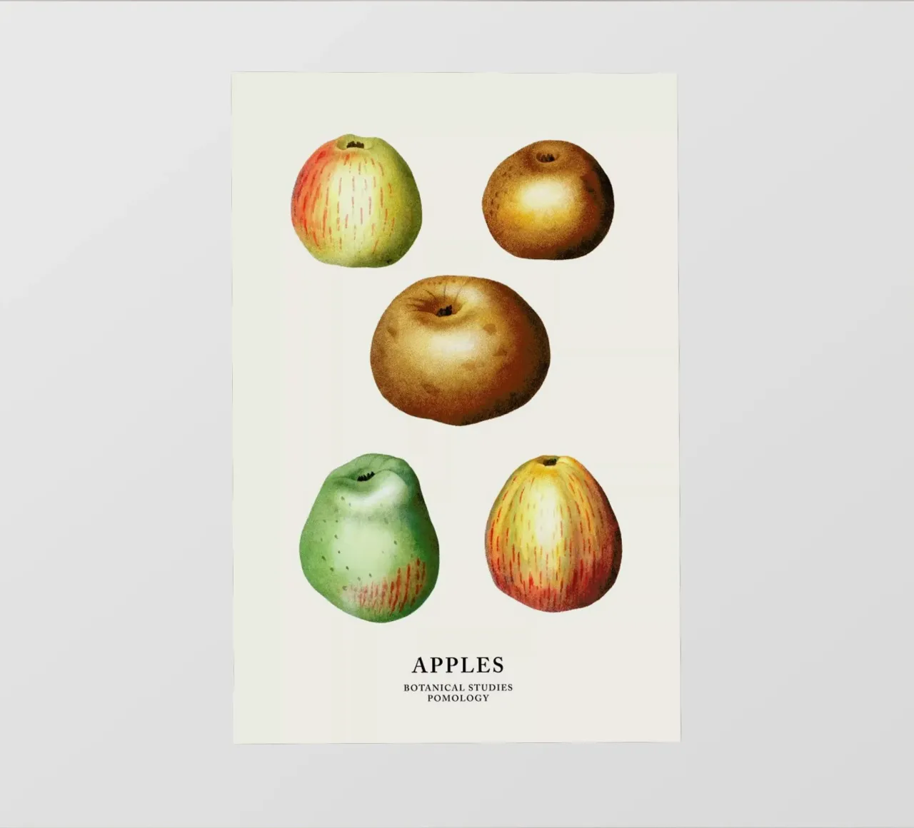 Apples telo in pvc da Flora & Fauna