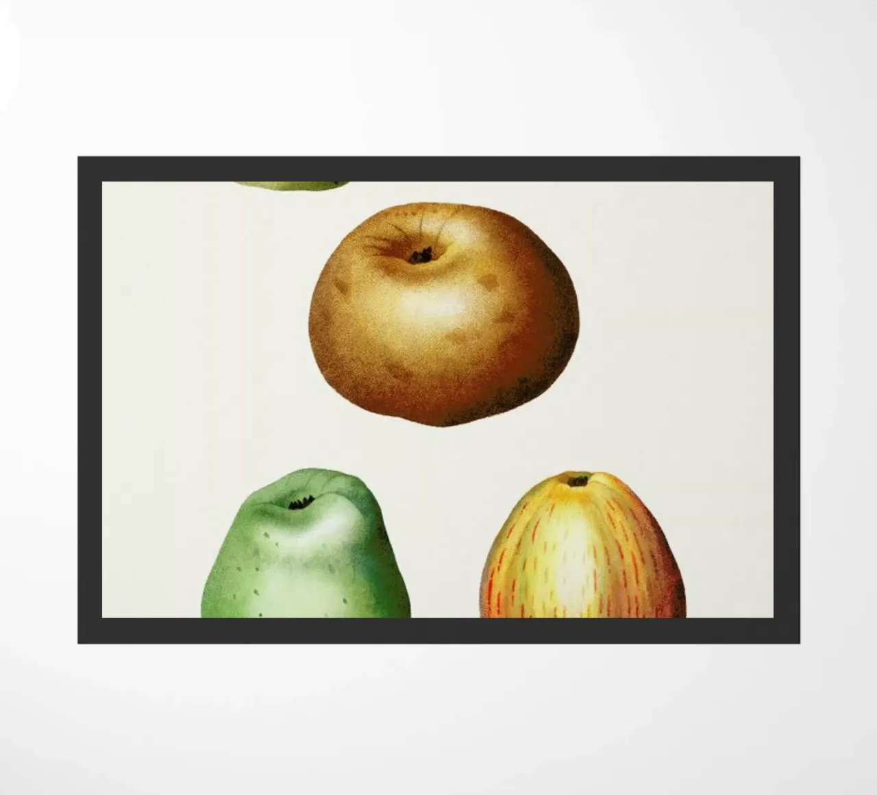 Apples zerbino da Flora & Fauna