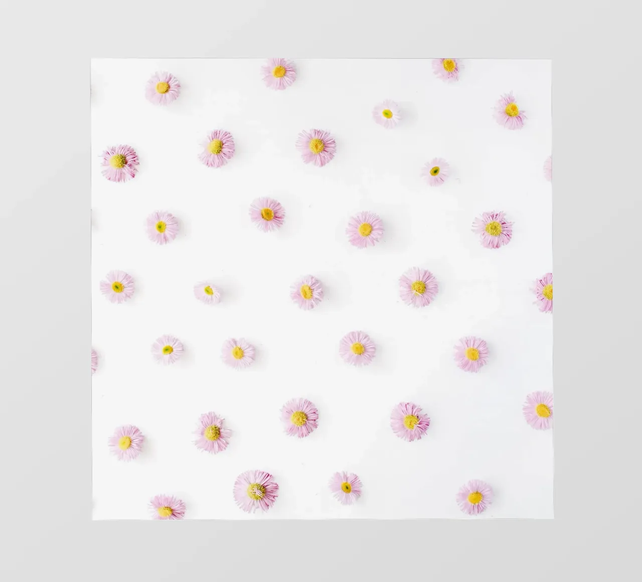 Blush telo in pvc da PhotoVibe Decor