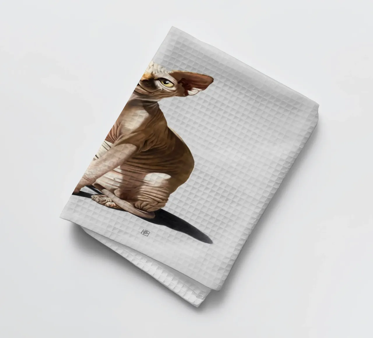 Cat-astrophe (Wordless) canovaccio da cucina da Rob Art | Illustration
