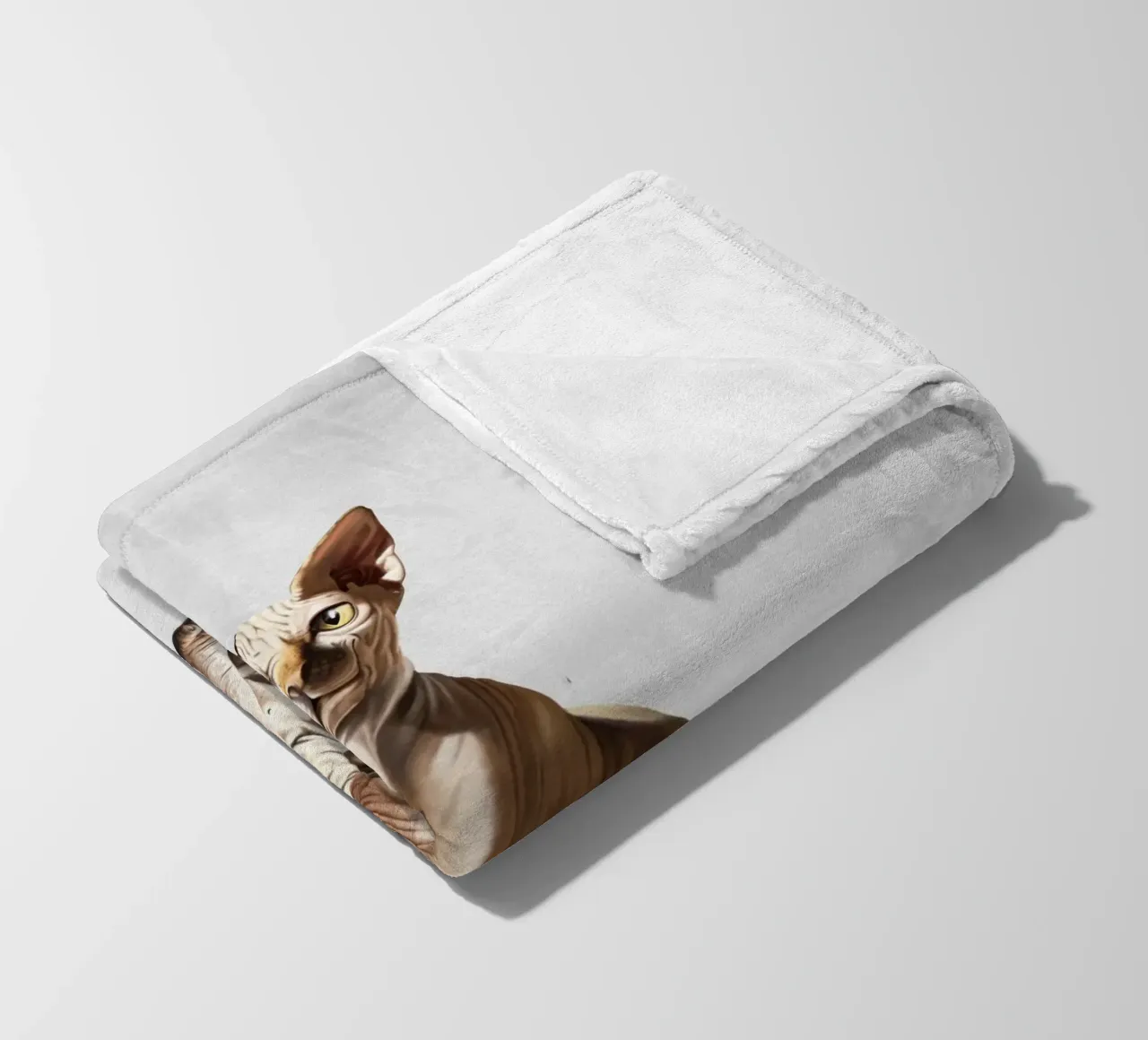 Cat-astrophe (Wordless) coperta in pile da Rob Art | Illustration