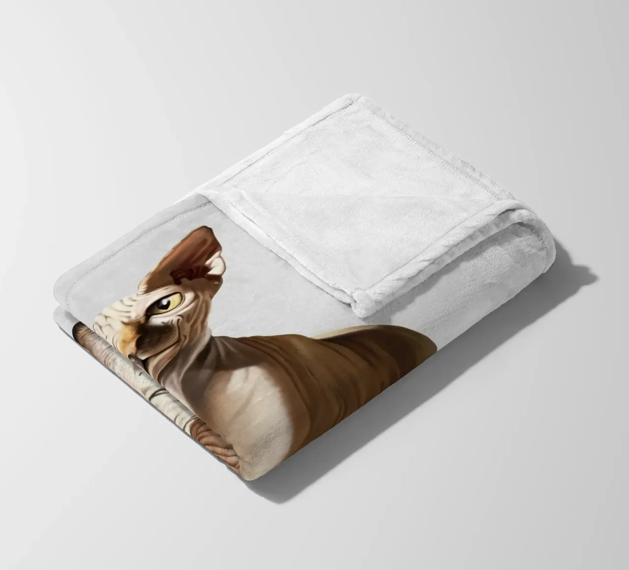 Cat-astrophe (Wordless) coperta in pile da Rob Art | Illustration