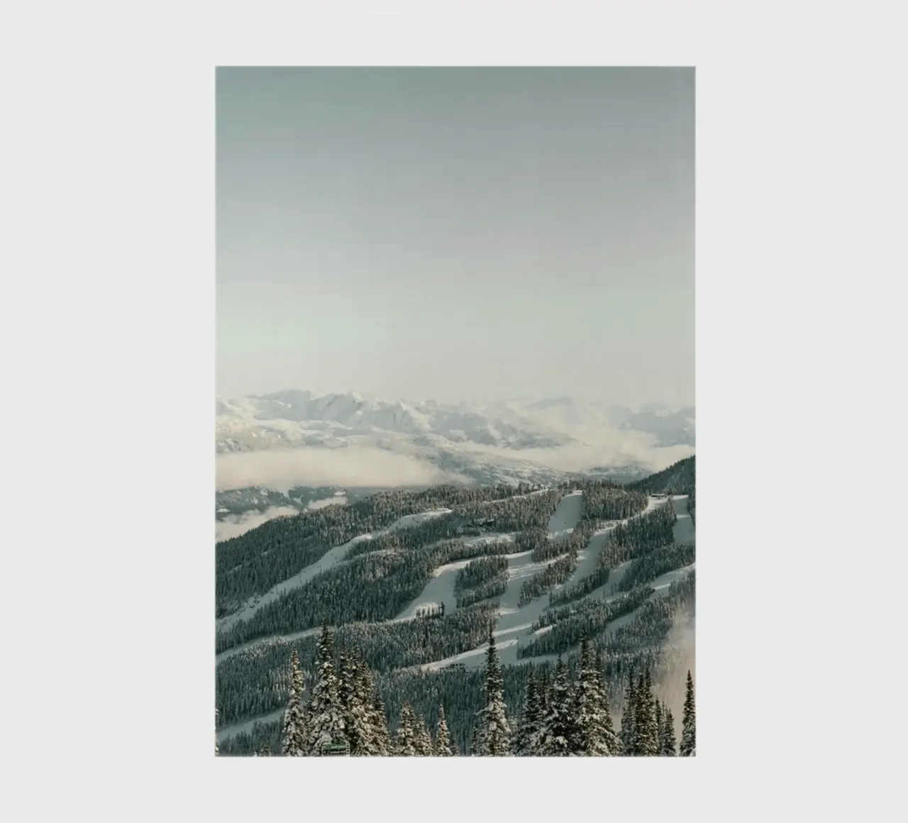montagne pini diario da Earthly Visions
