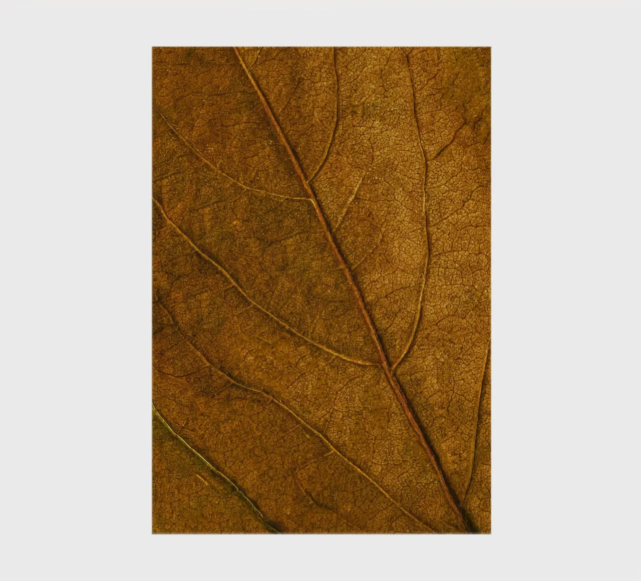 leaf texture notebook by Earthly Visions
