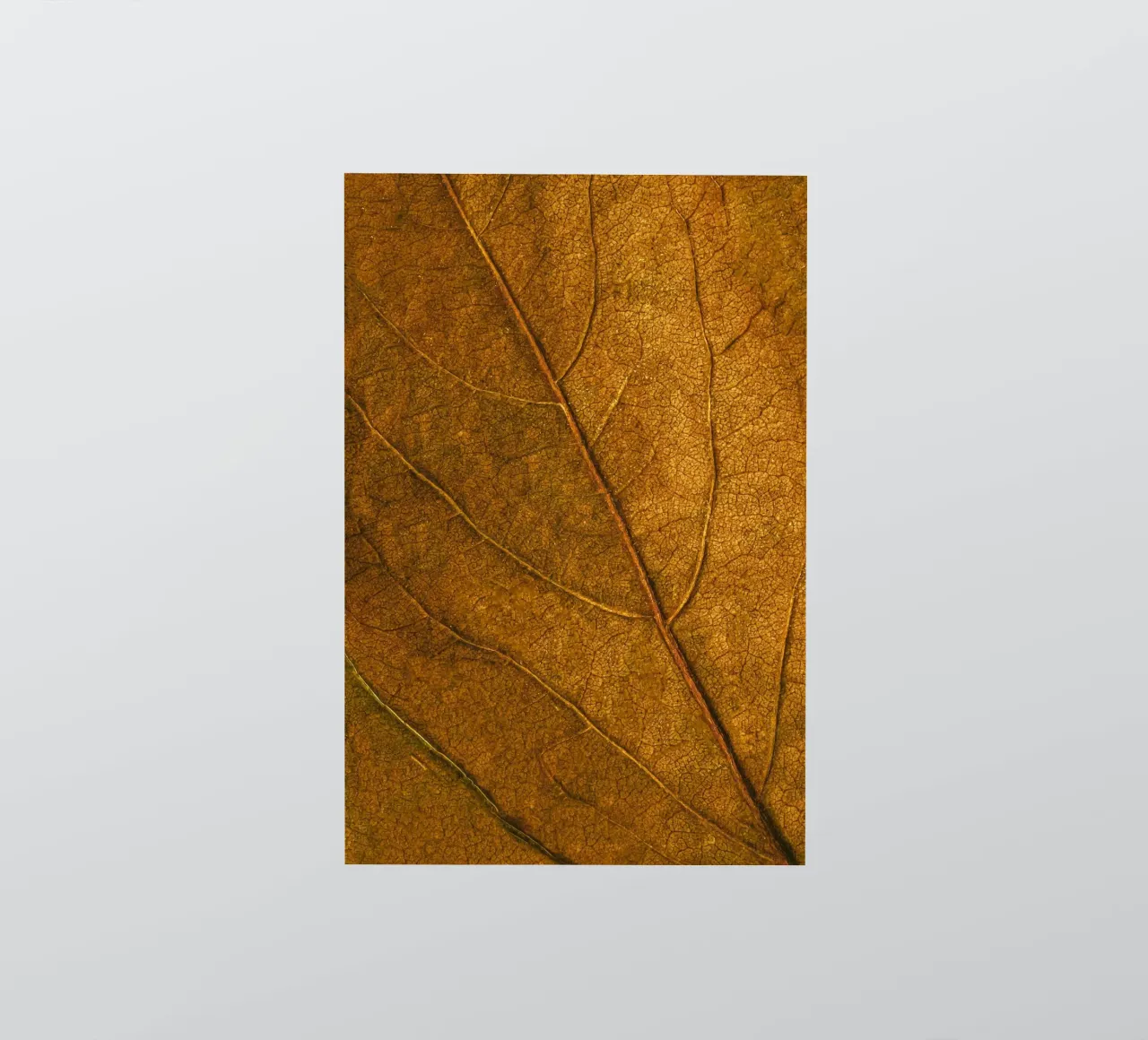 leaf texture sticker by Earthly Visions