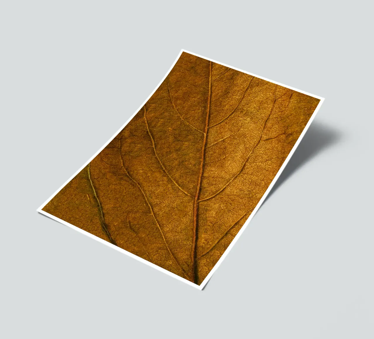 leaf texture sticker sheet by Earthly Visions