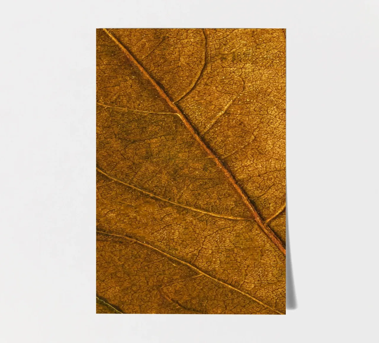 leaf texture sticker sheet by Earthly Visions