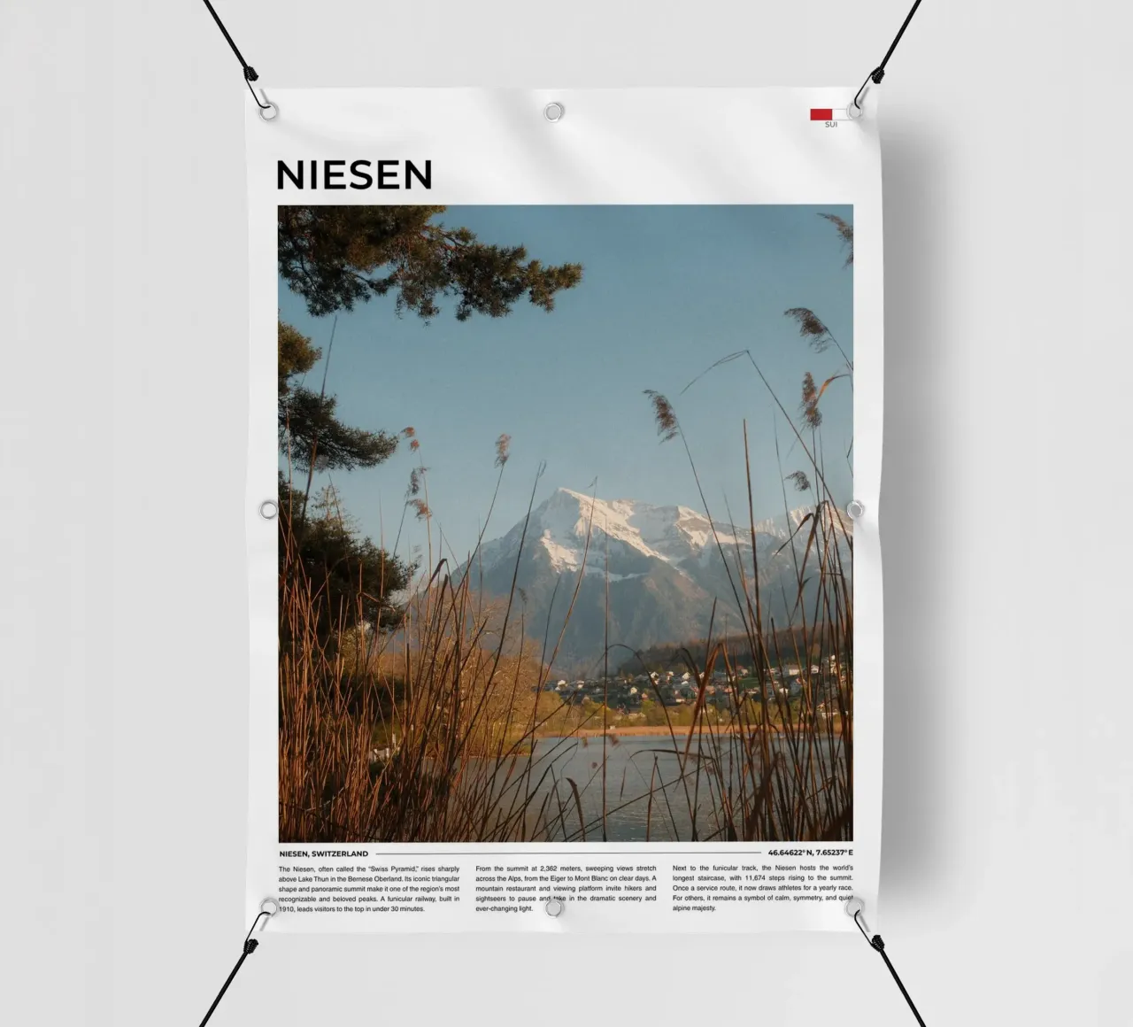 Niesen: Typography PVC Plane von FujiType