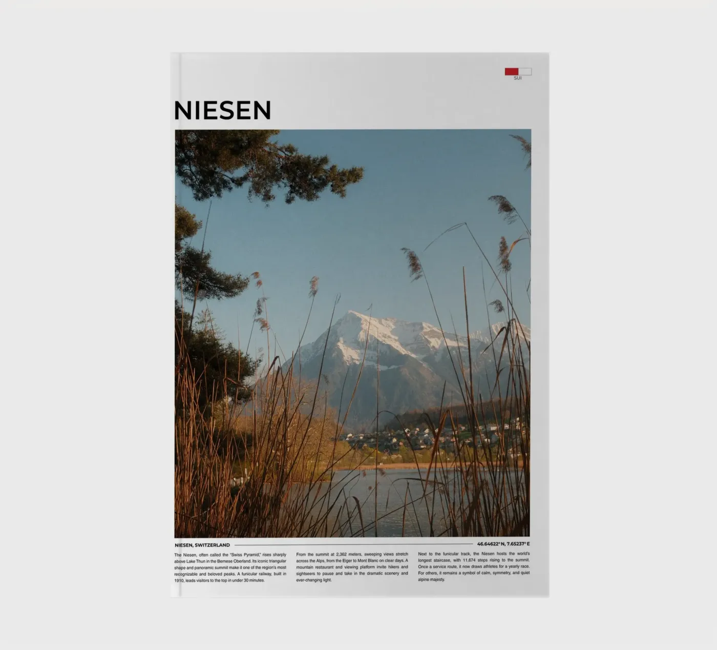 Niesen: Typography notebook by FujiType