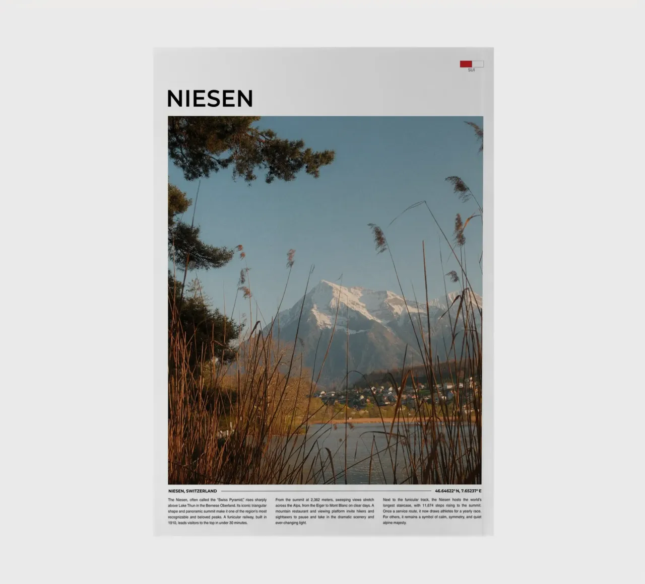 Niesen: Typography notebook by FujiType