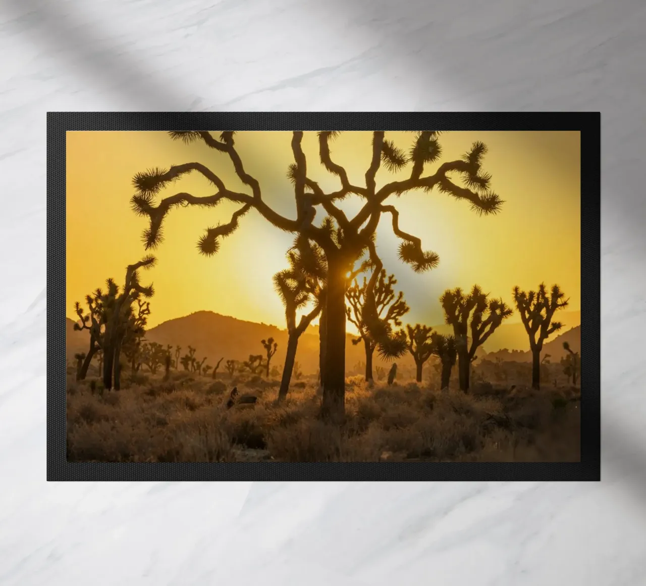 desierto del árbol de joshua felpudo de Earthly Visions