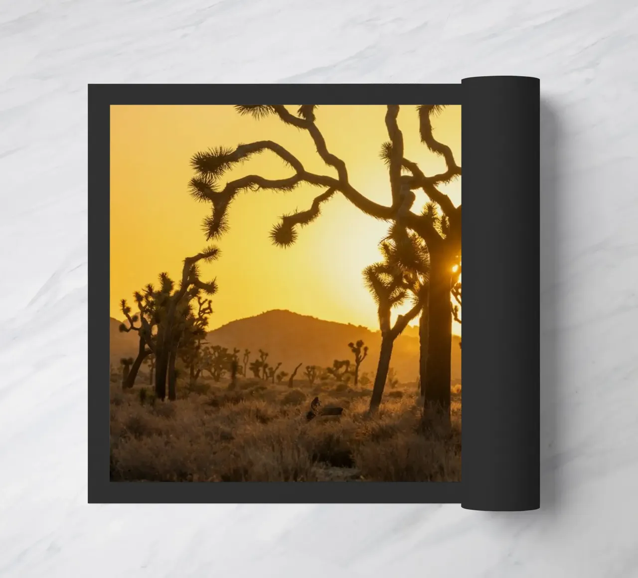 deserto di joshua tree zerbino da Earthly Visions