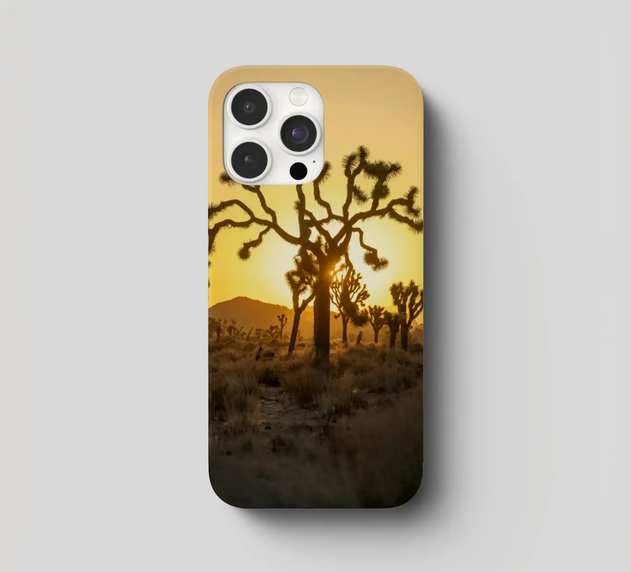 deserto di joshua tree cover iphone da Earthly Visions
