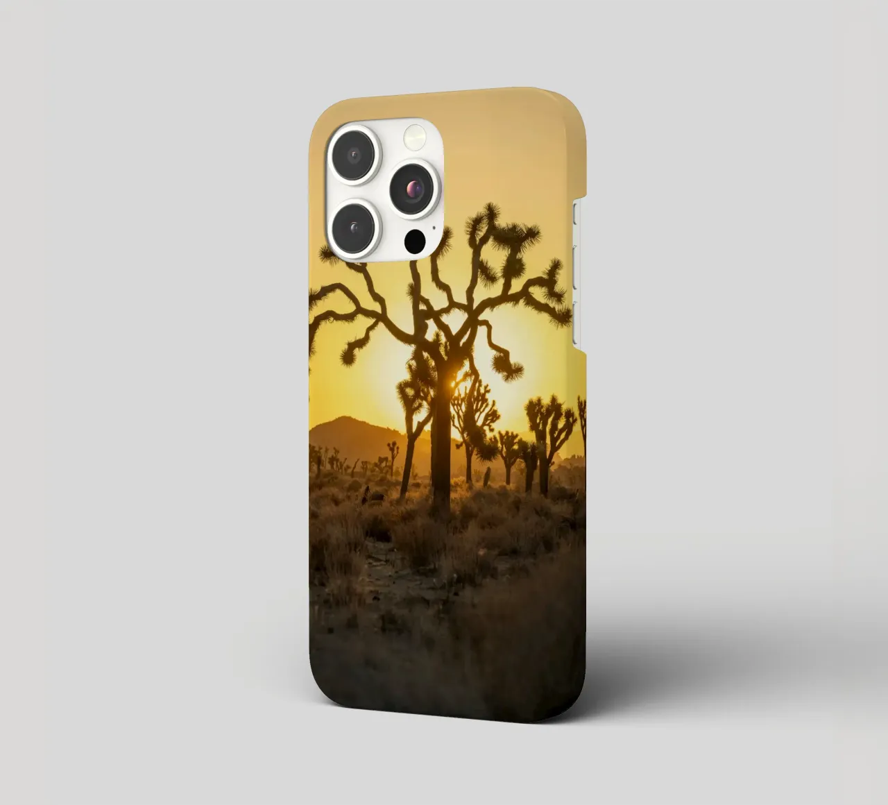 deserto di joshua tree cover iphone da Earthly Visions