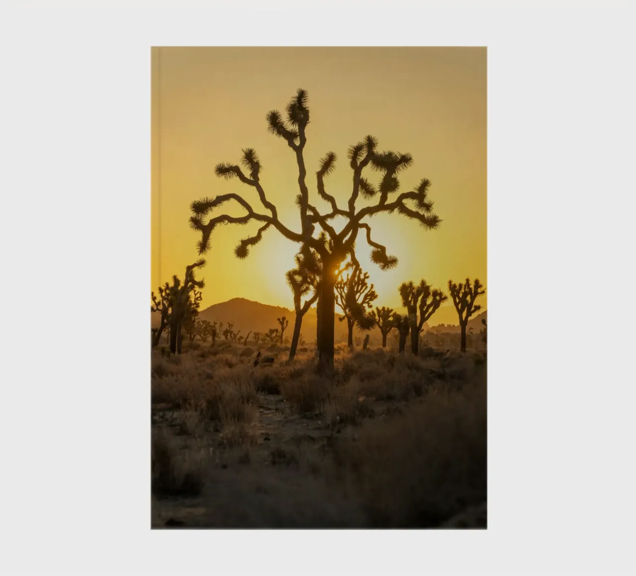 joshua tree wüste Notizbuch von Earthly Visions