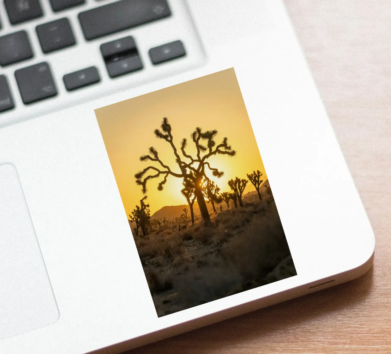deserto di joshua tree adesivo da Earthly Visions
