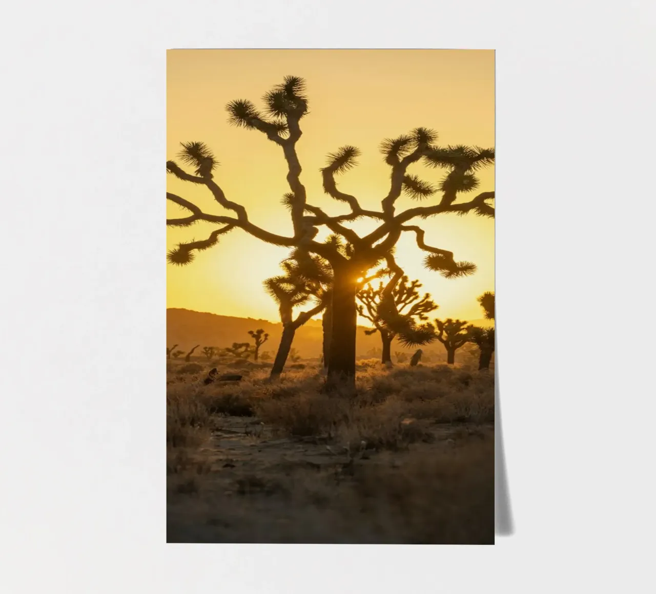 joshua tree wüste Stickerbogen von Earthly Visions