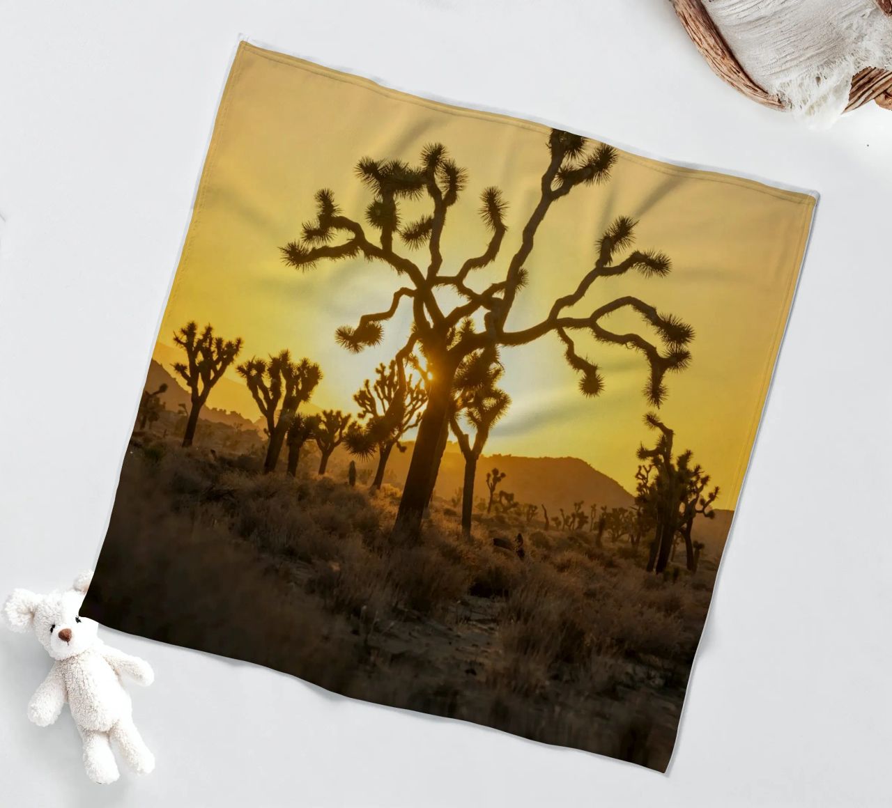 deserto di joshua tree coperta in pile da Earthly Visions