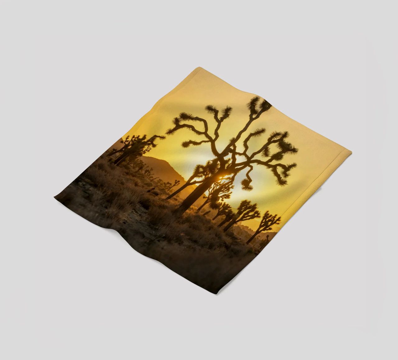deserto di joshua tree coperta in pile da Earthly Visions