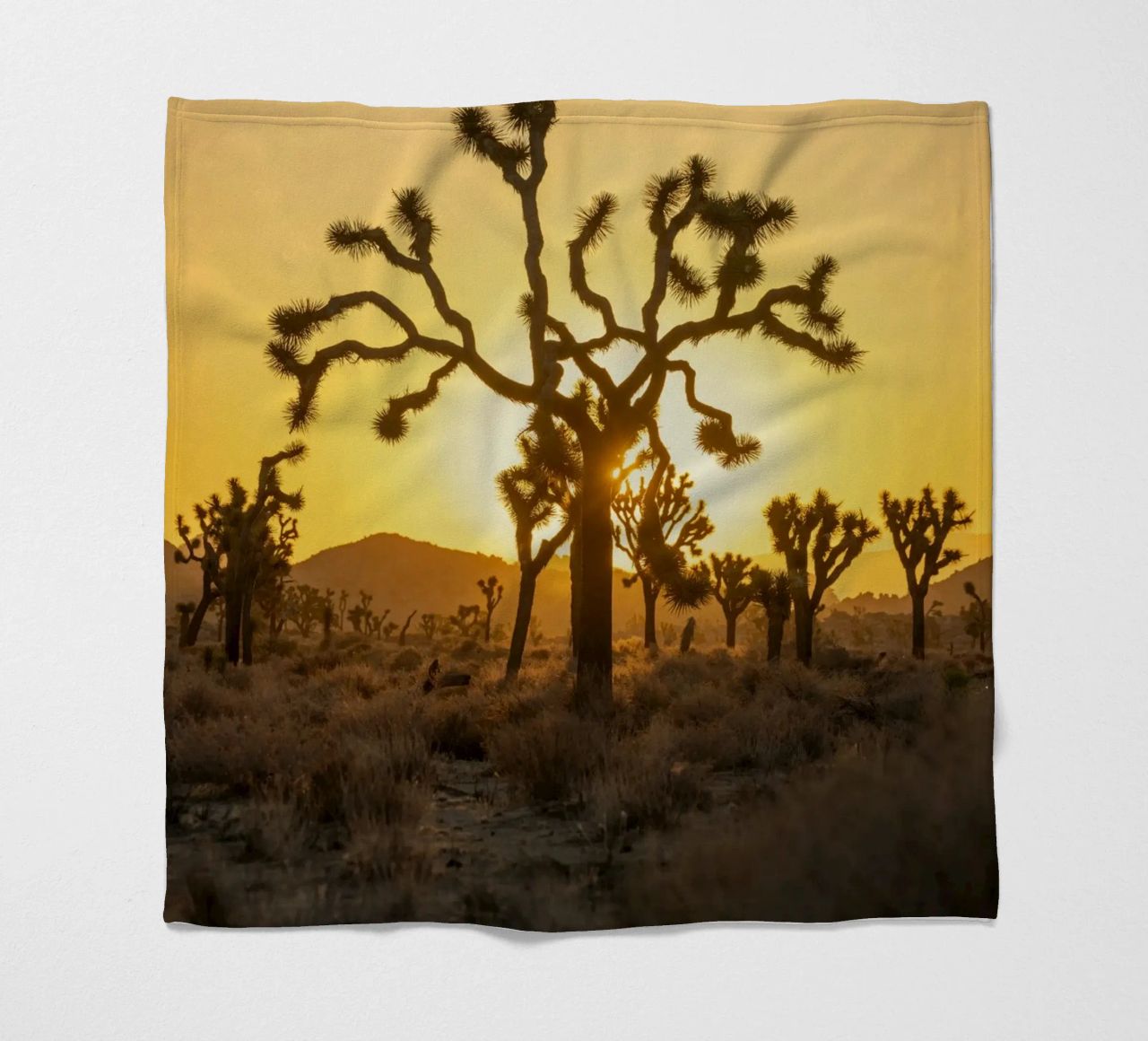 deserto di joshua tree coperta in pile da Earthly Visions