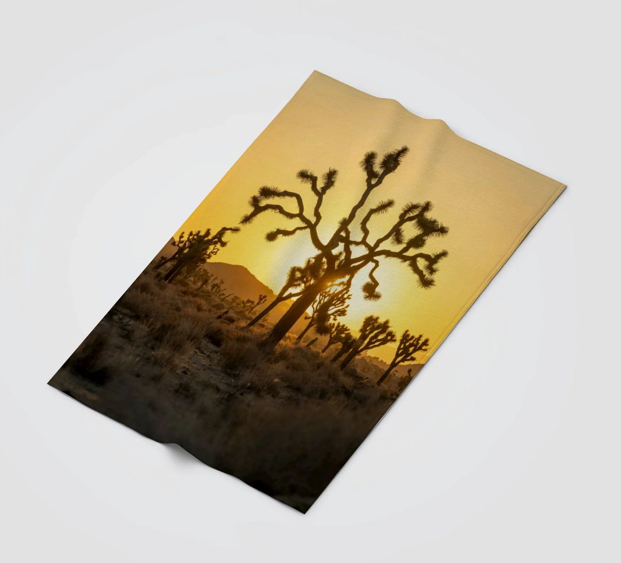 deserto di joshua tree coperta in pile da Earthly Visions