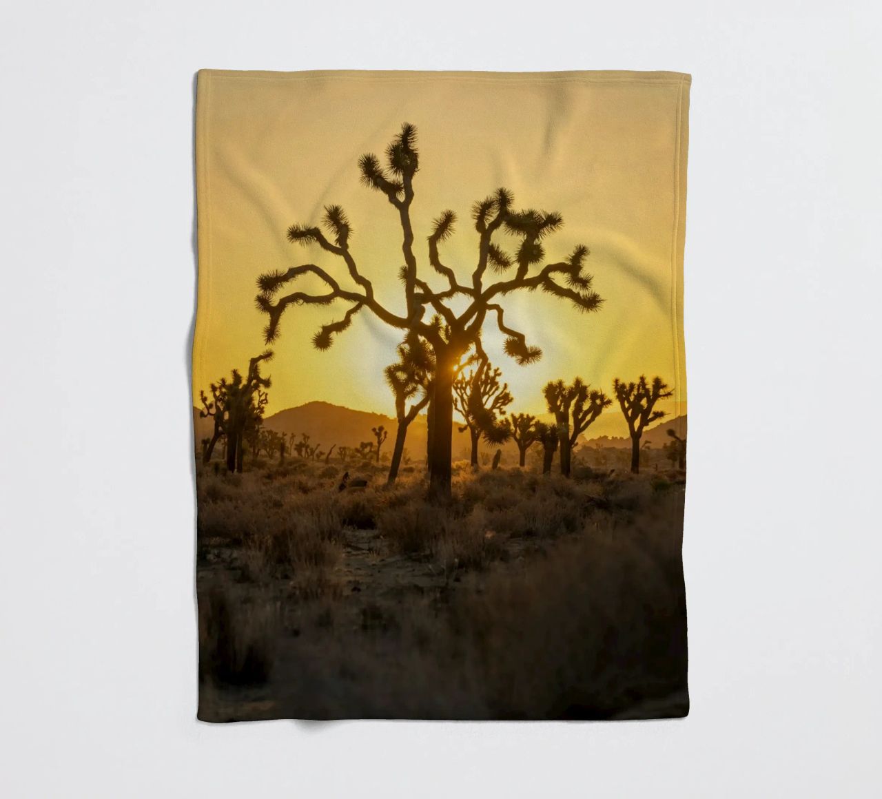 deserto di joshua tree coperta in pile da Earthly Visions