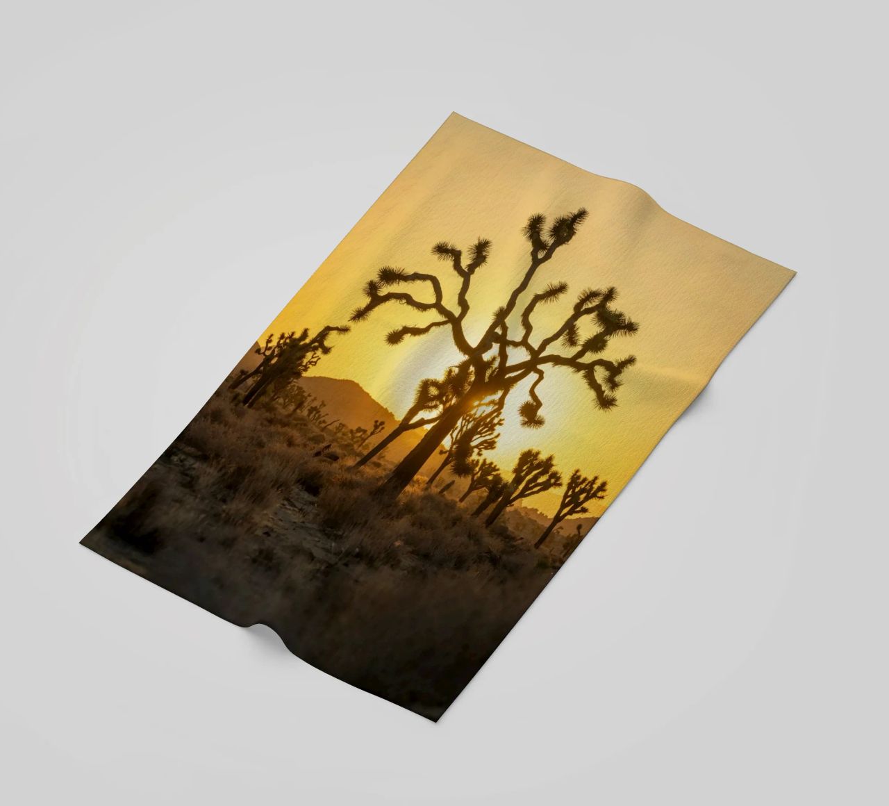 deserto di joshua tree telo mare da Earthly Visions