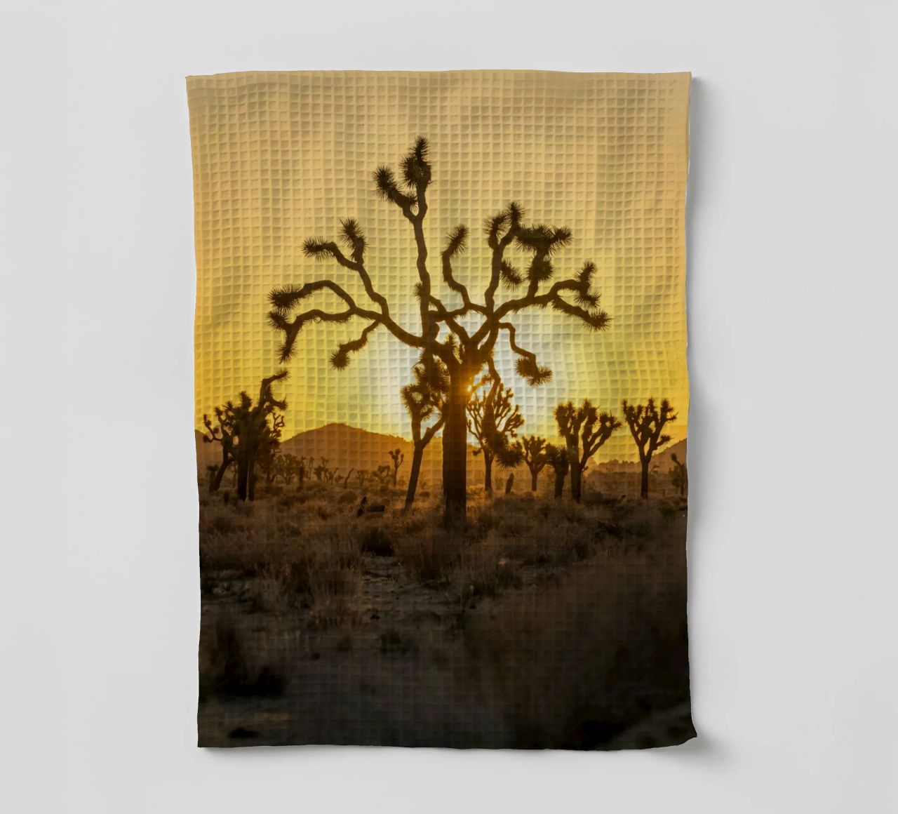 deserto di joshua tree canovaccio da cucina da Earthly Visions
