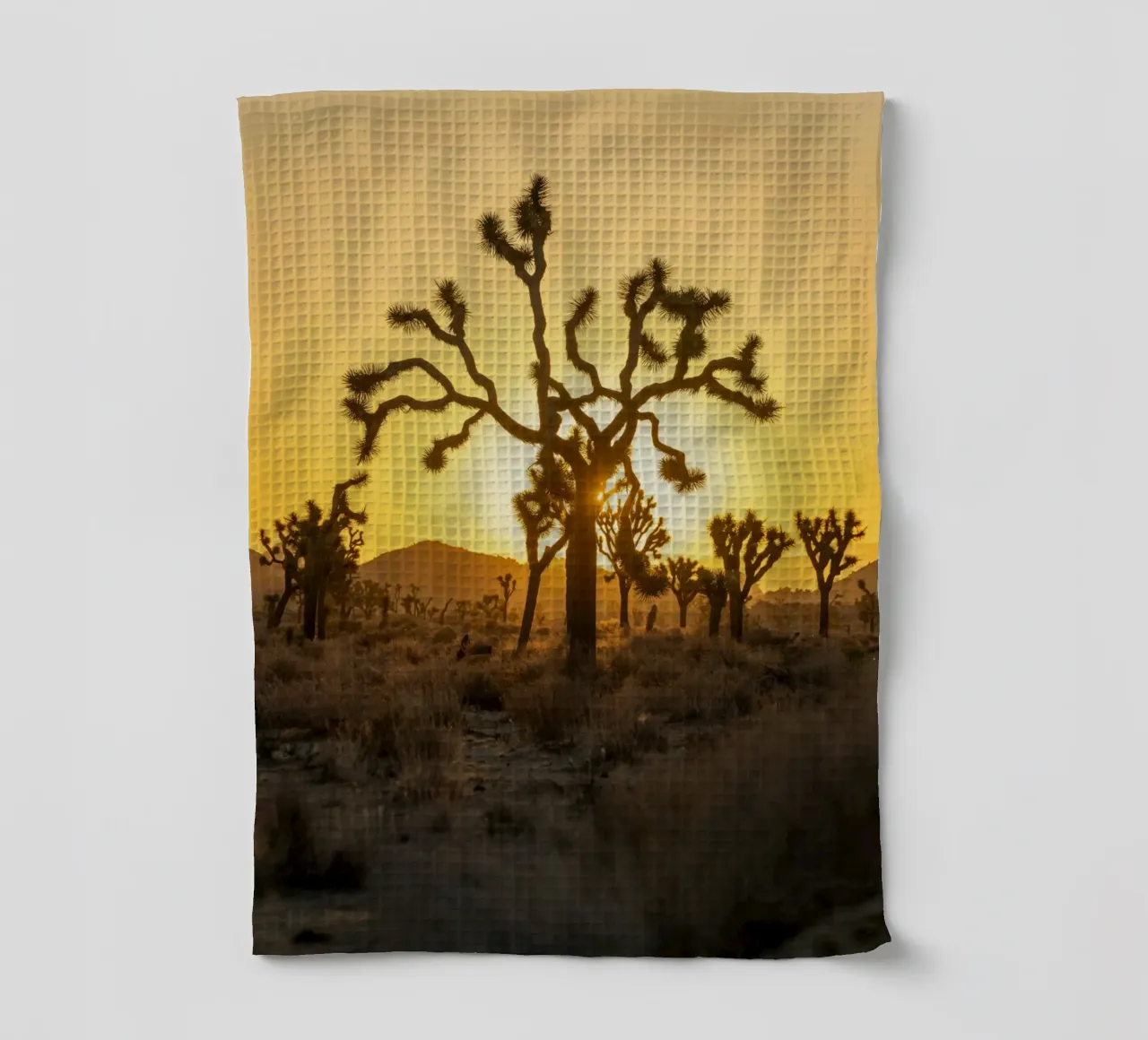 désert de joshua tree torchon de Earthly Visions