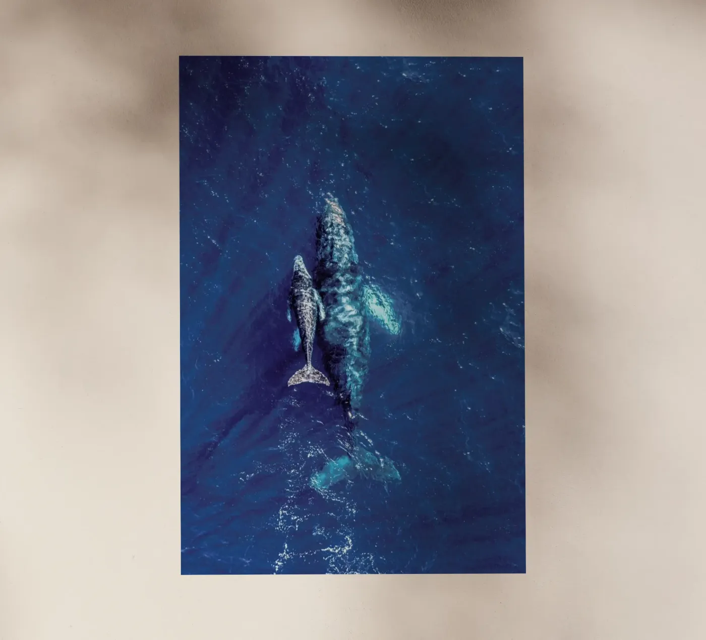 Blue pellicola backlit da ROBERTO H