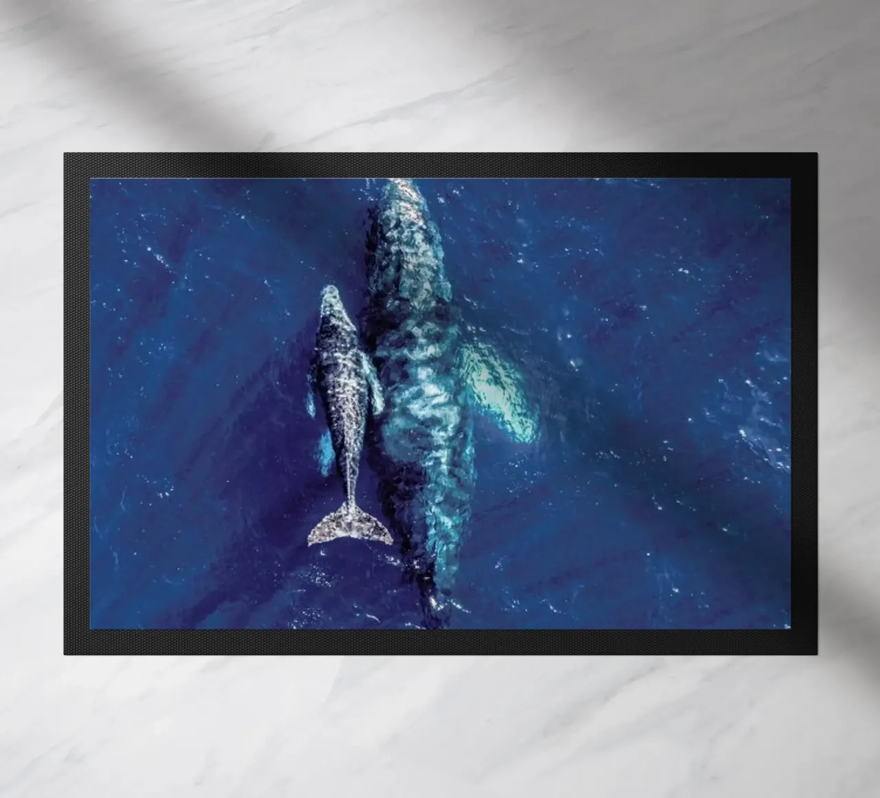 Blue zerbino da ROBERTO H