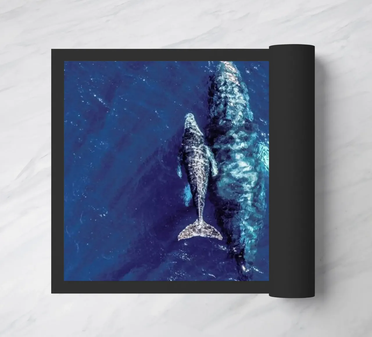 Blue zerbino da ROBERTO H