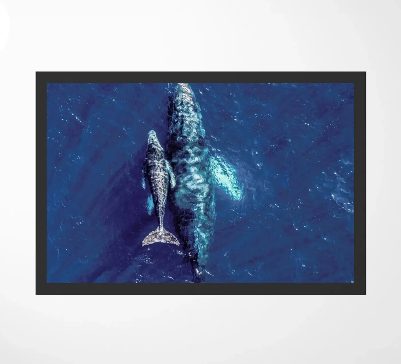 Blue deurmat van ROBERTO H