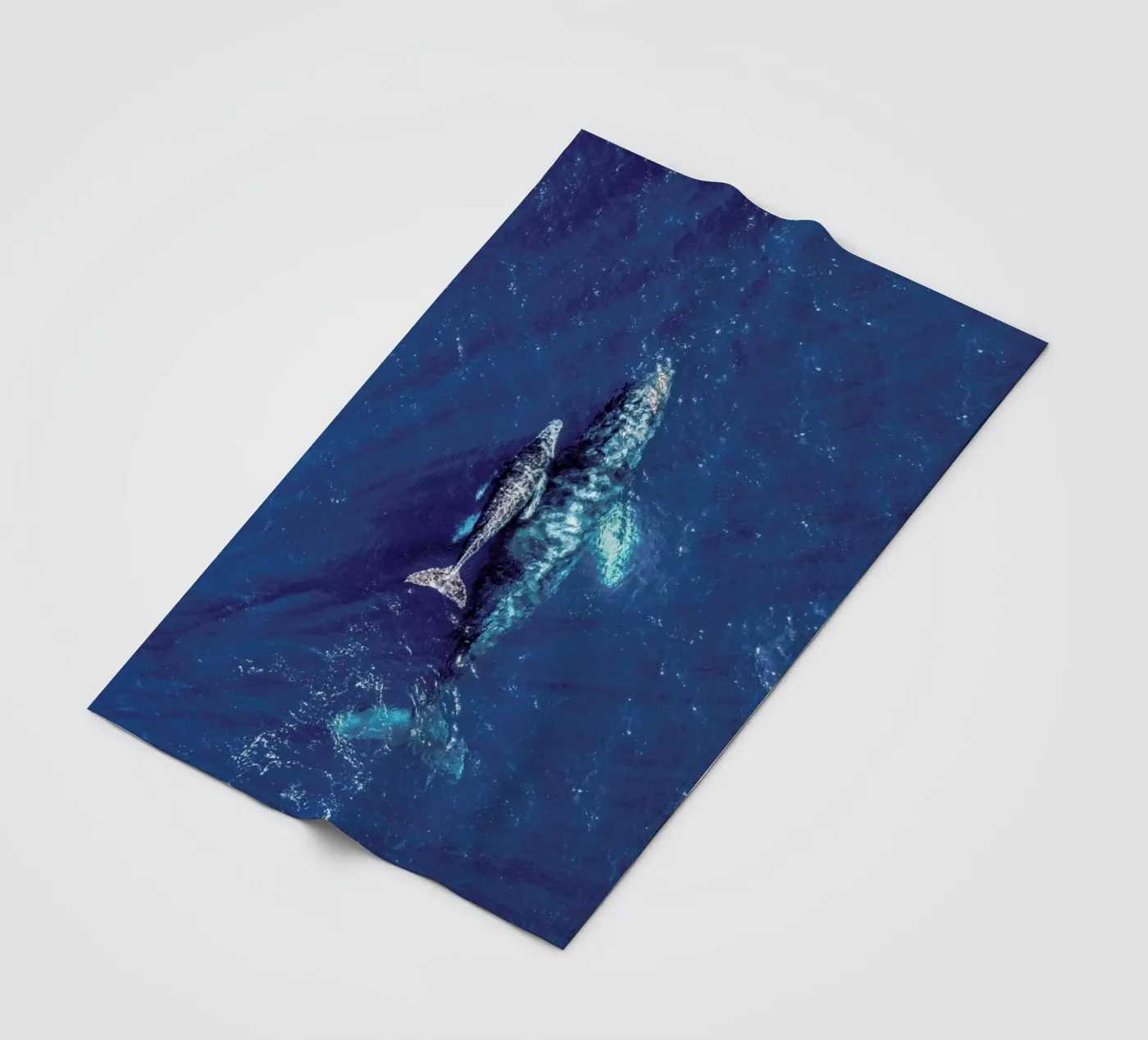 Blue Fleecedecke von ROBERTO H