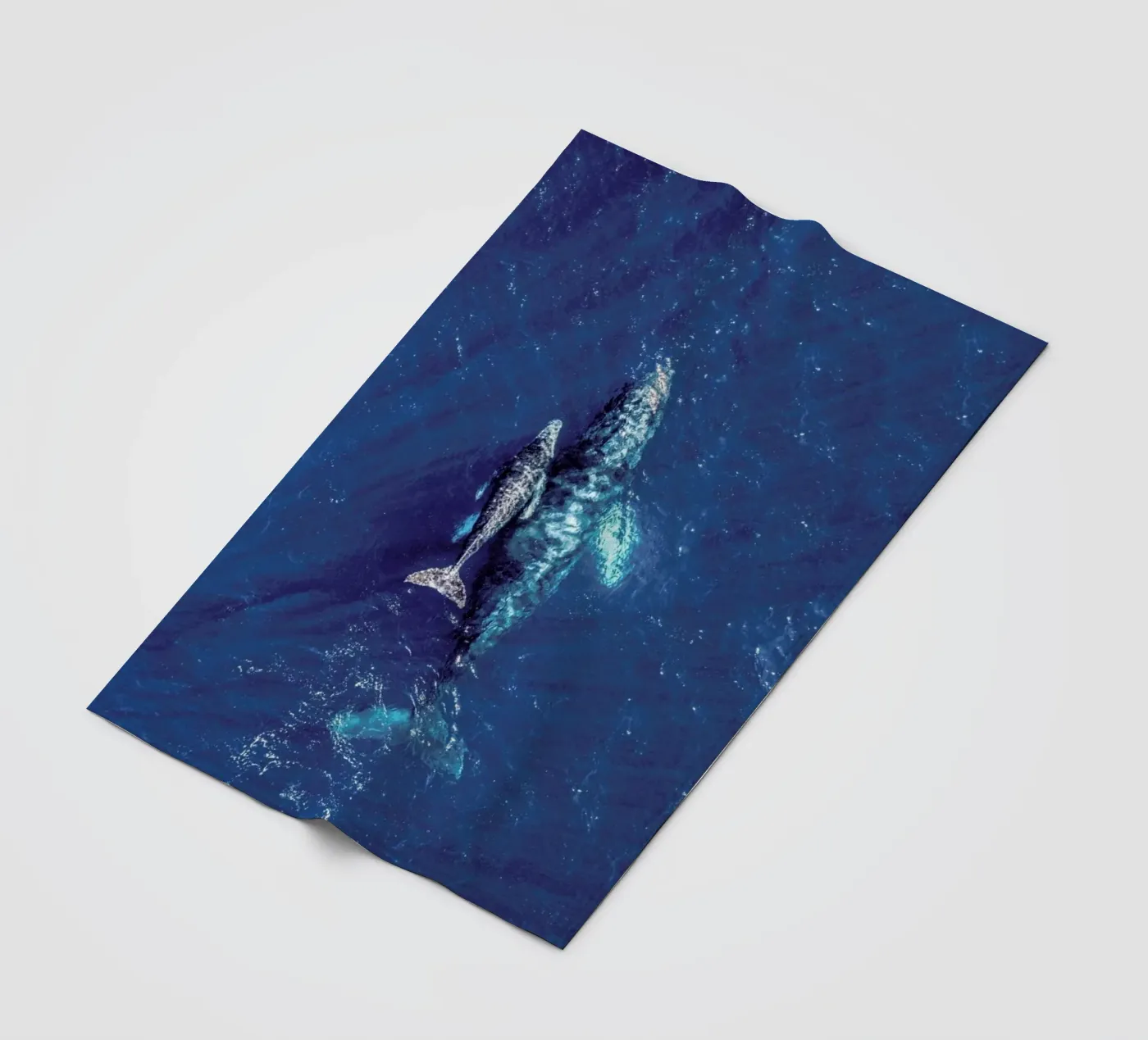 Blue fleecedeken van ROBERTO H