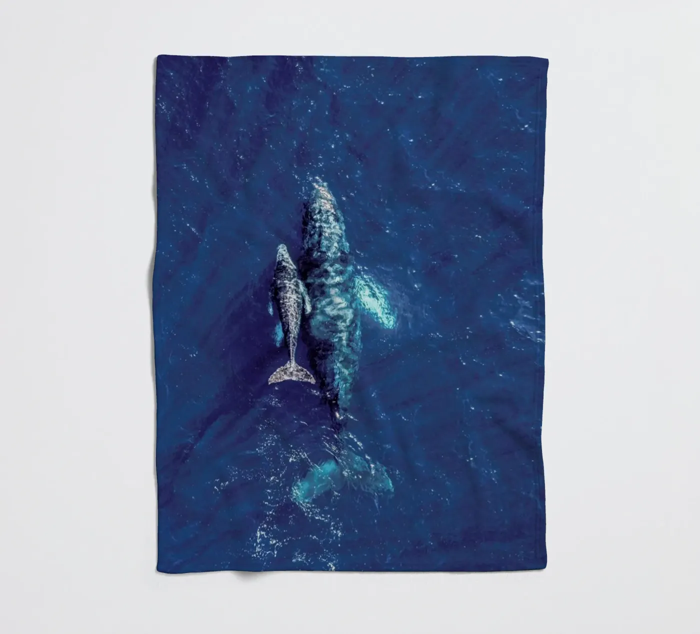 Blue Fleecedecke von ROBERTO H