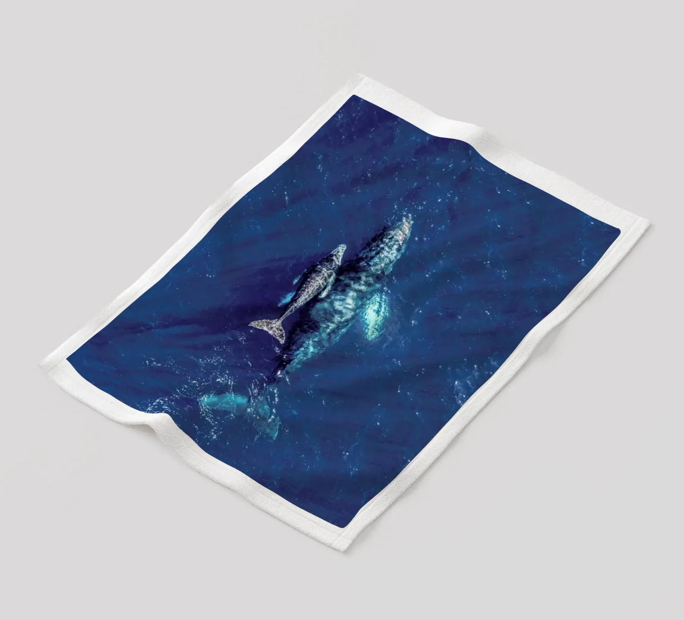 Blue Fleecedecke von ROBERTO H