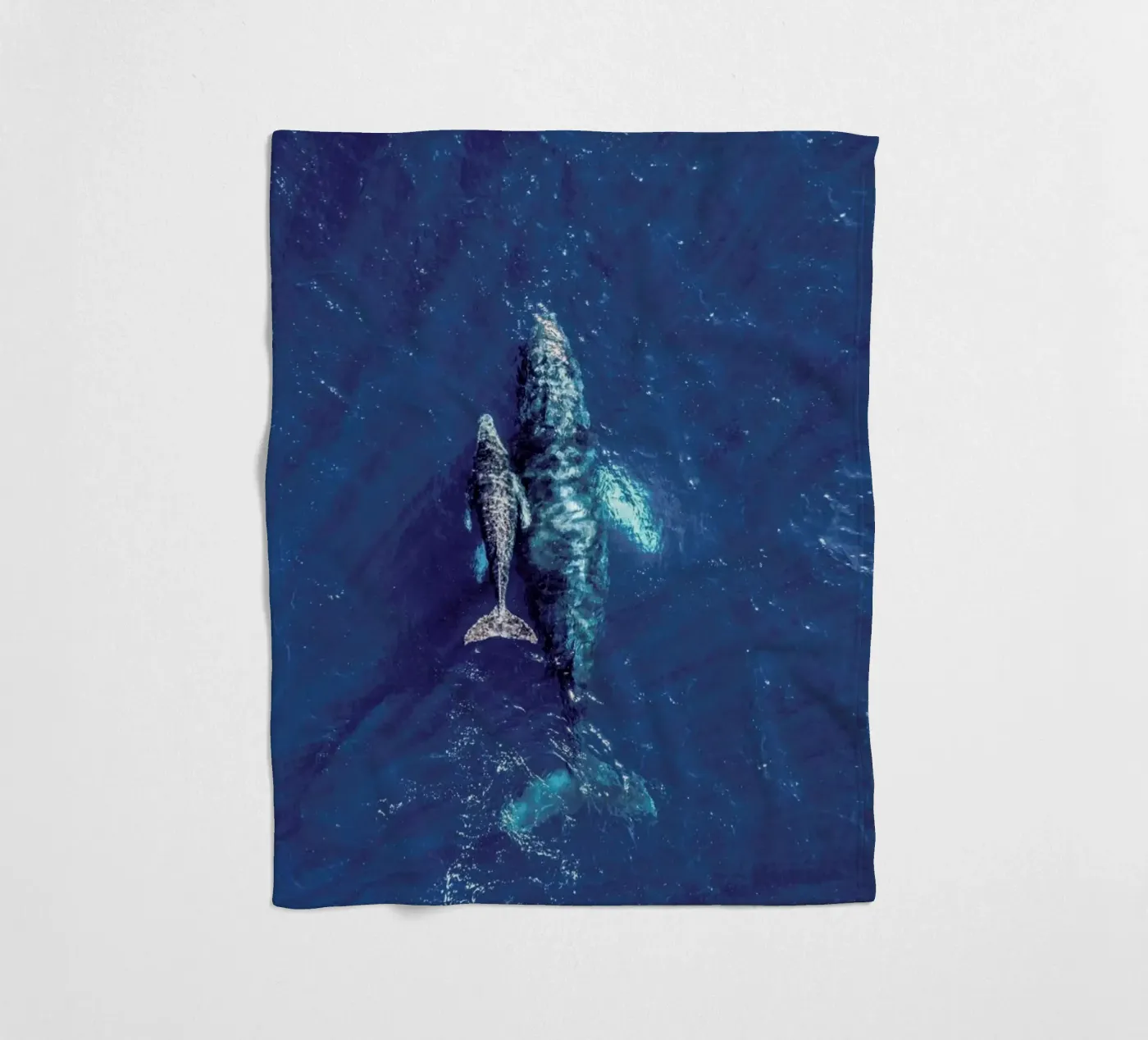 Blue Fleecedecke von ROBERTO H