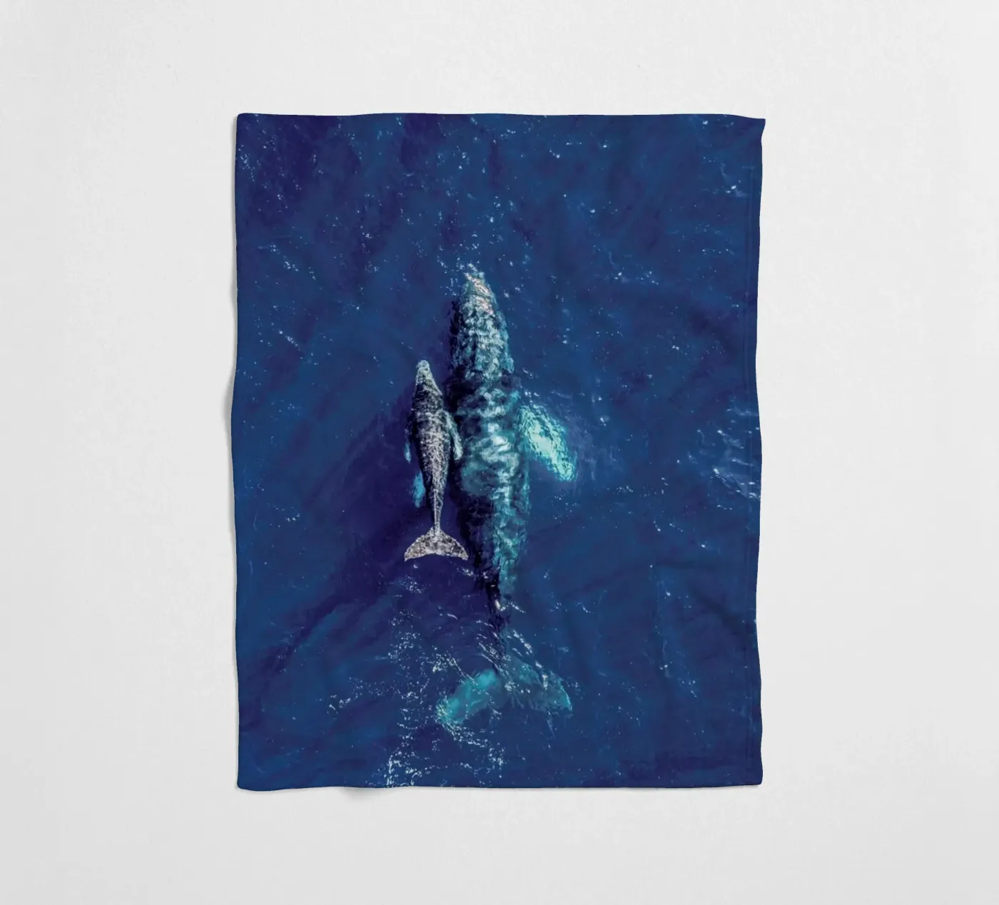 Blue fleecedeken van ROBERTO H